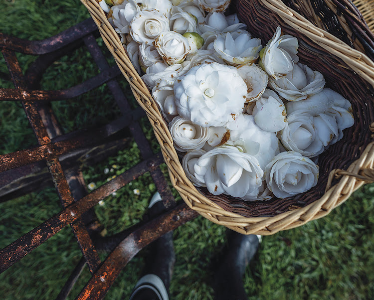 Chanel's White Camellia