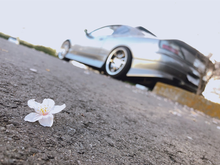 シルビアの桜と愛車・桜・館林・アゼリアに関するカスタム事例の投稿画像12枚目