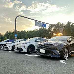 C-HR ZYX10