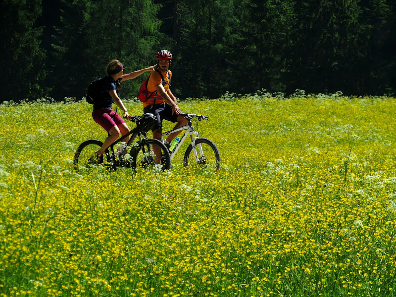 In Mountain bike in mezzo ai fiori di Giorgio Lucca