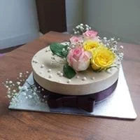 Cake Delight photo 