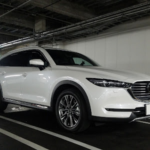 CX-8