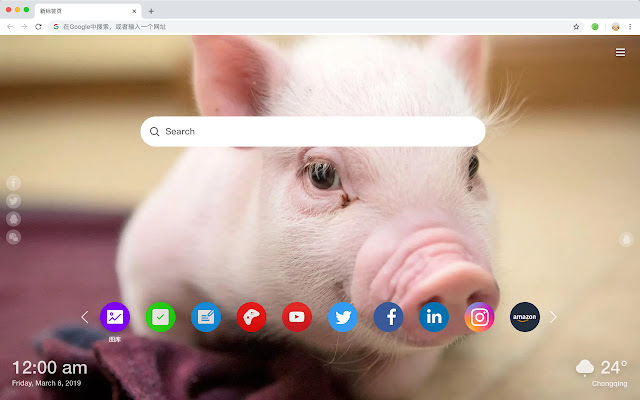 Pigs Popular Animals HD New Tabs Themes