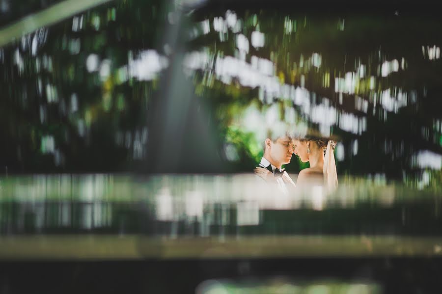 Wedding photographer Yuliya Stepanenko (kasandra). Photo of 24 June 2014