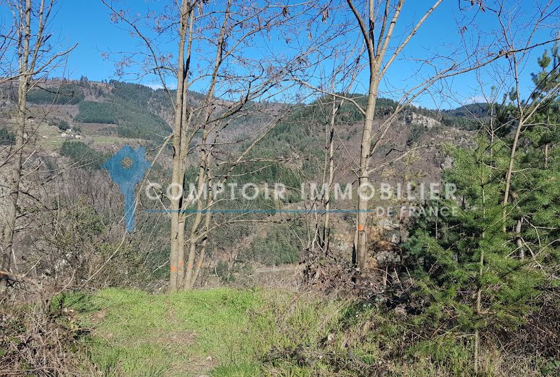  Vente Terrain à bâtir - 1 567m² à Le Cheylard (07160) 