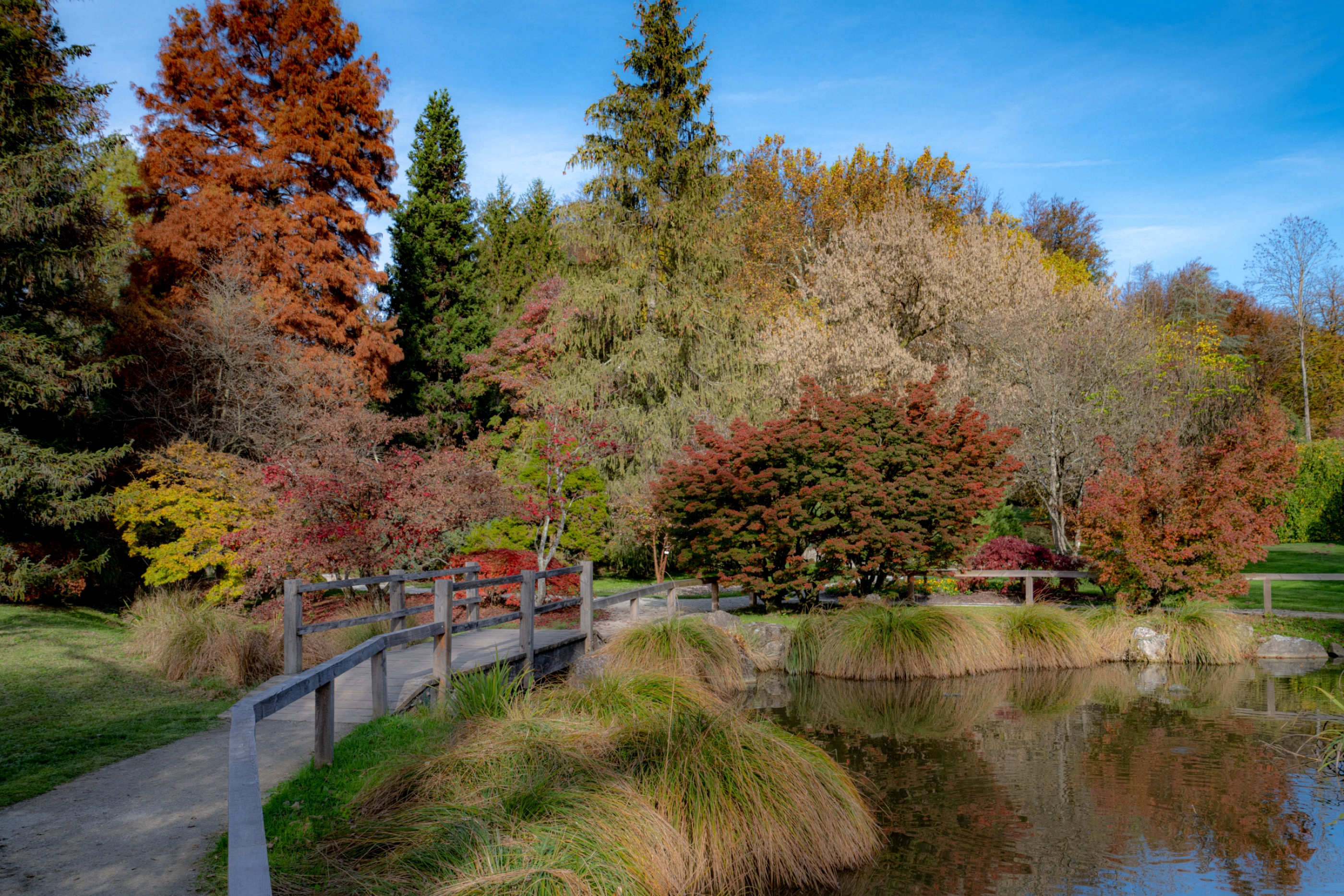 Alboretum (Lubiana - Slovenia) di Winterthur58