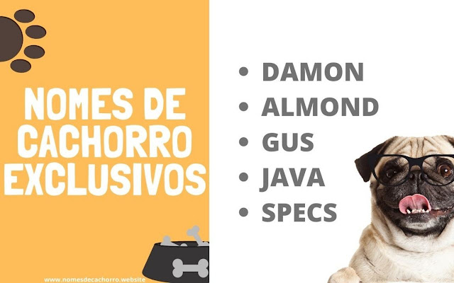 Nomes de Cachorro chrome extension