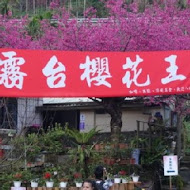 神山愛玉冰