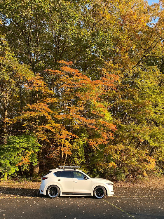 CX-5の紅葉・写活・ペダルカバー・秩父ミューズパーク・目指せPickUpCarsに関するカスタム事例の投稿画像4枚目