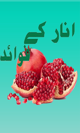 Pomegranate Anar K Fwaid