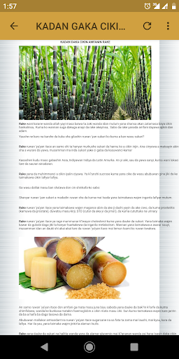 Ciwo Da Magani Faidar Abincin Hausa