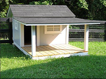 Pet House Design Ideas