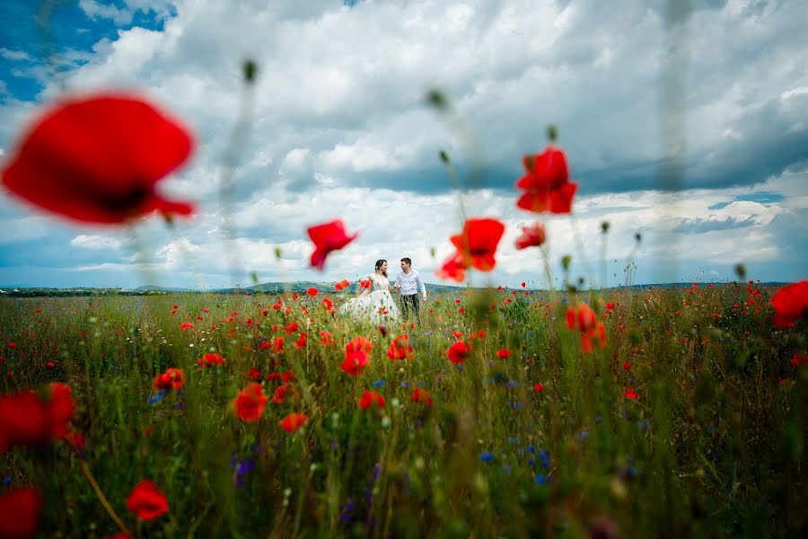 Fotógrafo de casamento Adina Dumitrescu (adinadumitresc). Foto de 26 de julho 2016