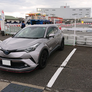 C-HR ZYX10