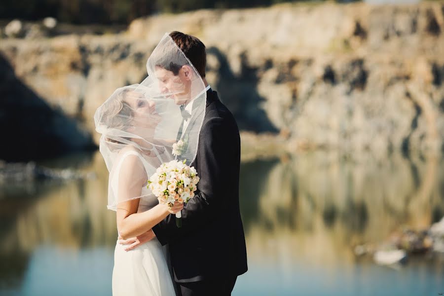 Photographe de mariage Nikolay Frolov (nik1991). Photo du 19 février 2016