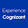 Meet Cognizant icon