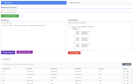 BigQuery to Excel Converter screenshot 3