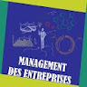 Management des Entreprises - L icon