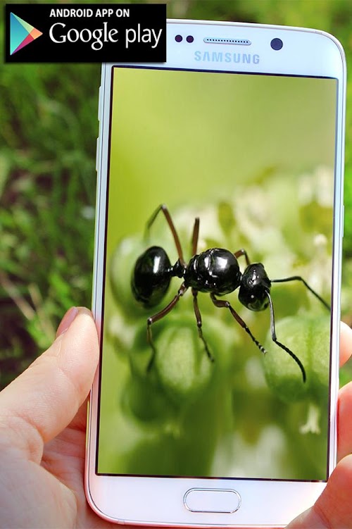 Android application Mega Zoom Camera HD 2017 screenshort
