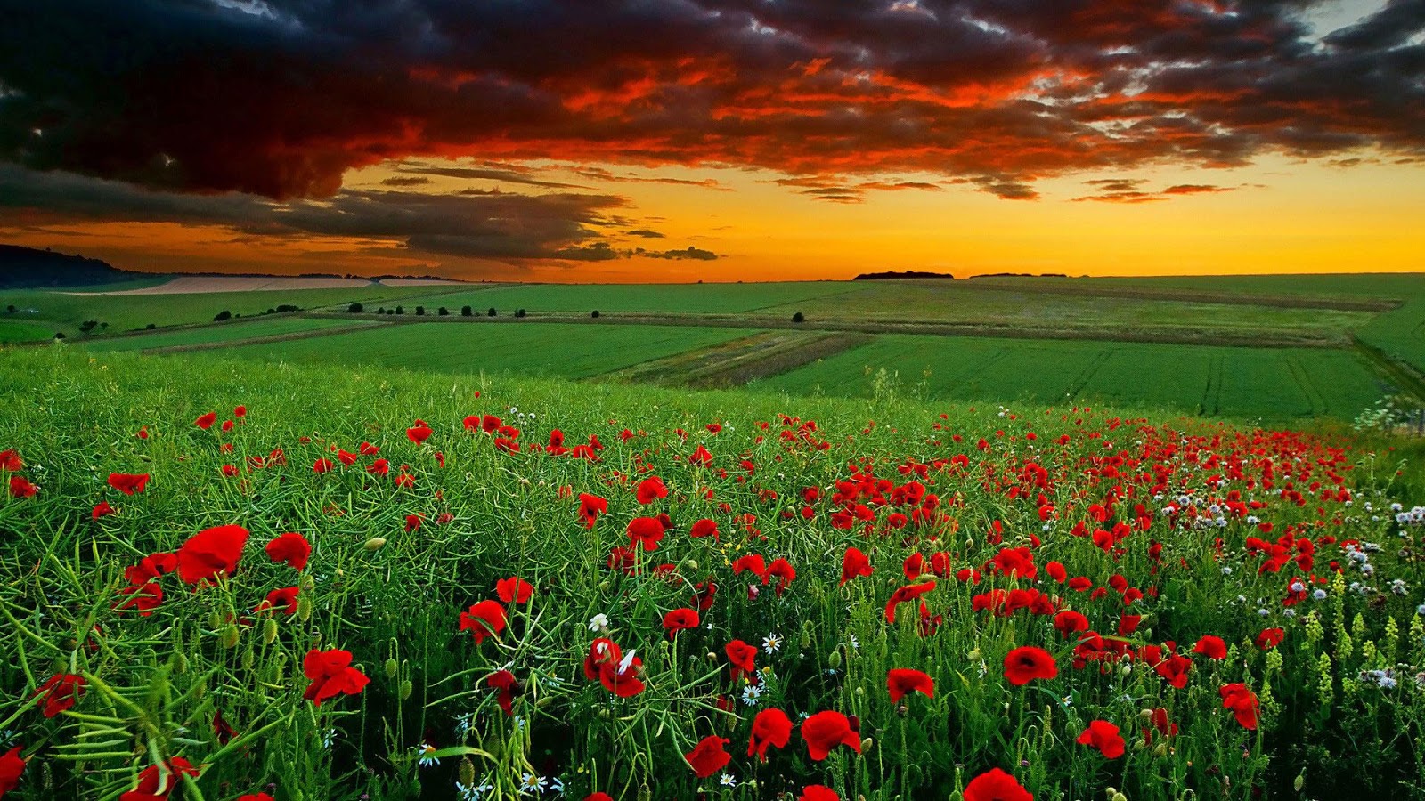 3D Wallpapers HD Android Apps On Google Play