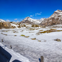 Bernina Express in Svizzera di Diana Cimino Cocco