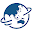 Certificate Scanner Download on Windows