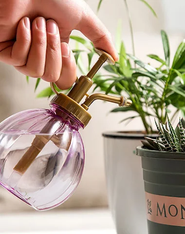 Maceta para regar plantas flores co - 3
