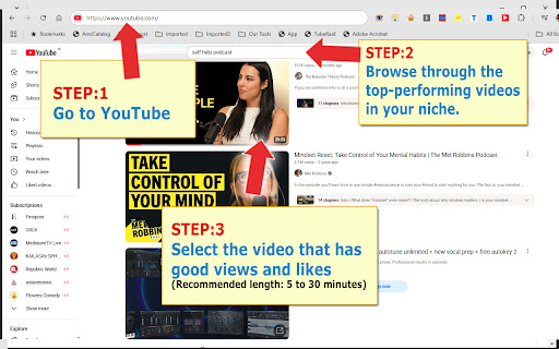 TubeProfits, YouTube Transcript to AI Content Creator