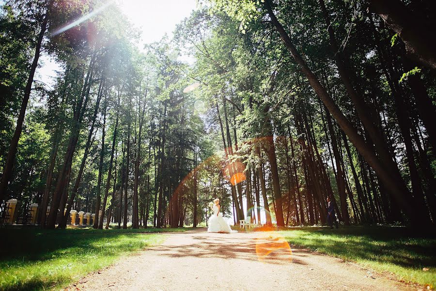 Fotógrafo de bodas Irina Maleeva (maleevaiv). Foto del 4 de noviembre 2016