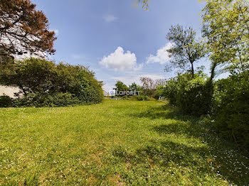 terrain à Plobannalec-Lesconil (29)