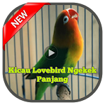 Cover Image of ダウンロード Kicau Lovebird Ngekek Panjang 1.3.8 APK