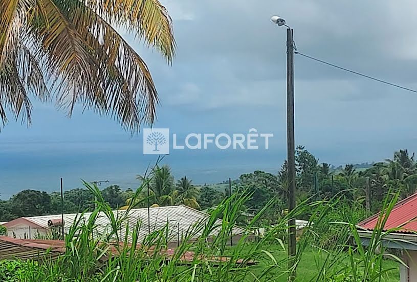  Vente Terrain à bâtir - à Basse-Pointe (97218) 