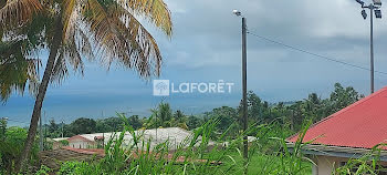 terrain à Basse pointe (972)