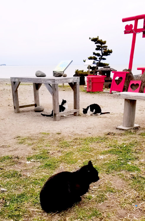 Nボックスカスタムの無言フォローいらん・海中鳥居⛩️・三度目の正直ですッ‼️👍👍・ニャンコラボ・燃費向上に関するカスタム事例の投稿画像11枚目