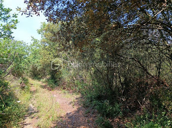 terrain à La Capelle-et-Masmolène (30)