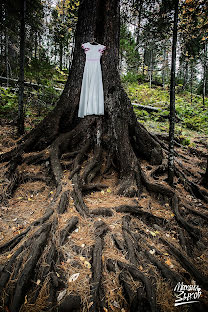 Photographe de mariage Mikhail Zykov (22-19). Photo du 6 octobre 2016