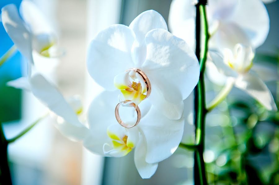 Photographe de mariage Olga Rumyanceva (boom). Photo du 22 octobre 2013