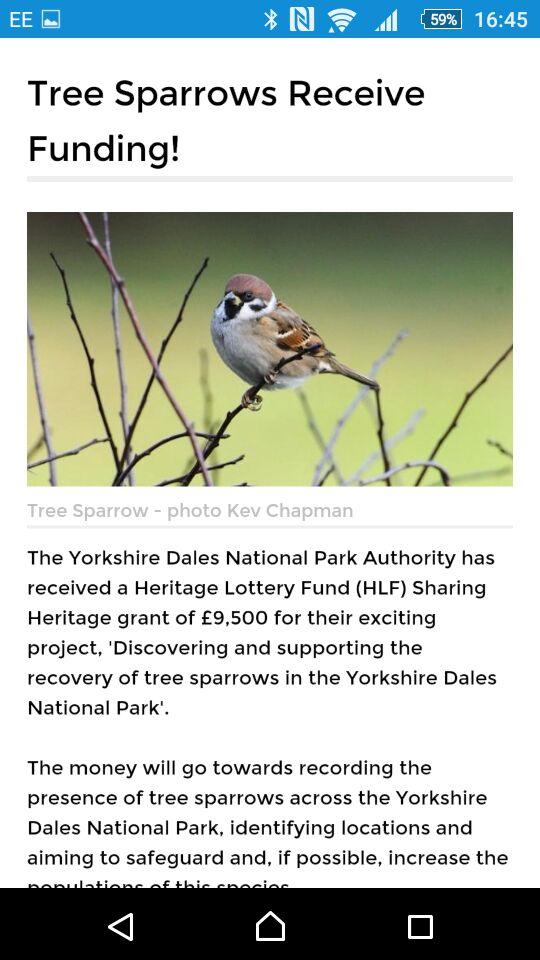 The Yorkshire Times Screen 1