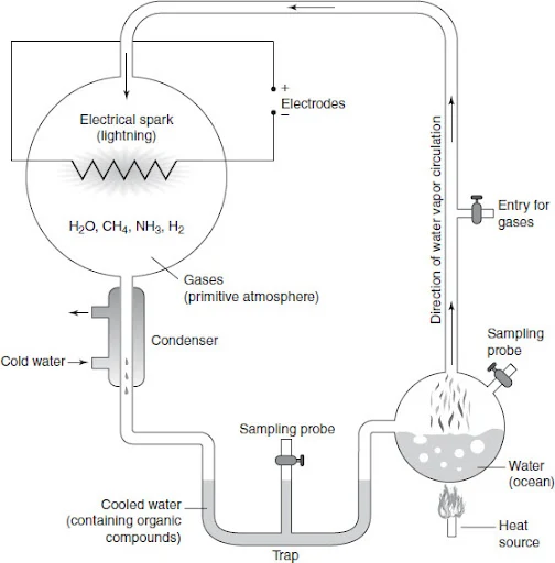 Solution Image