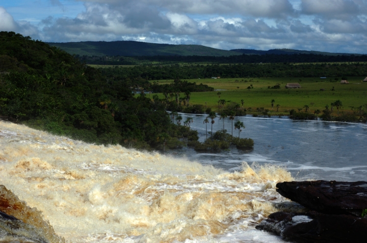 Canaima di psichocandy