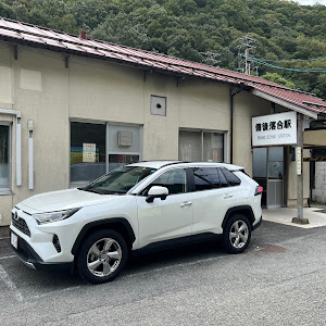 RAV4 AXAH52