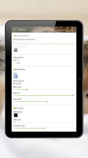 Kittens Live Wallpaper