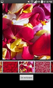 How to install Rose Petals Live Wallpaper patch 1.2 apk for laptop