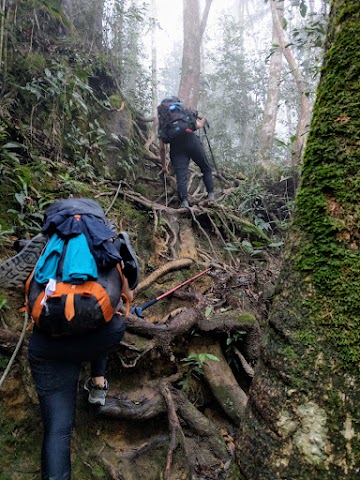 Mount Tahan Merapoh Route; Sungai Relau; hiking