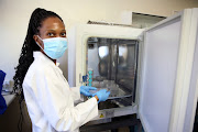 Rosa Chinheya, a cell culture scientist at the Mogale Meat Co. 
