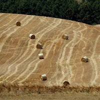 Disegni nei campi di 