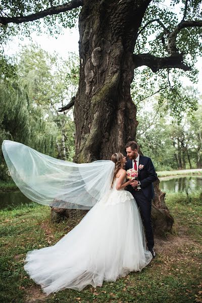 Fotografo di matrimoni Anna Svetlichnaya (svetlichnaya). Foto del 15 febbraio 2020