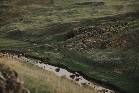 Kāzu fotogrāfs Nikolay Chebotar (cebotari). Fotogrāfija: 11. maijs 2020