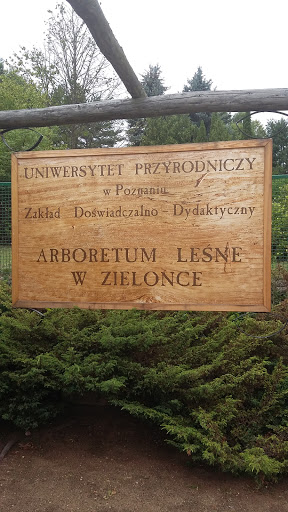 Arboretum Leśne W Zielonce 