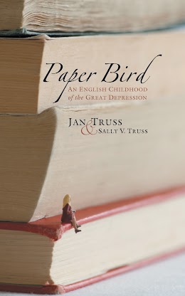 Paper Bird cover